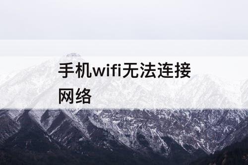 手机wifi无法连接网络