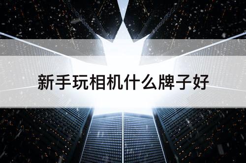 新手玩相机什么牌子好