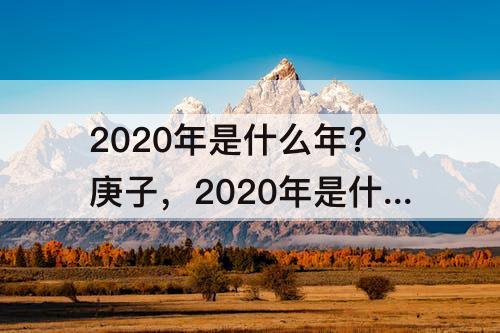 2020年是什么年?庚子，2020年是什么年?庚子2021年是什么年