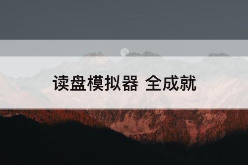 读盘模拟器 全成就
