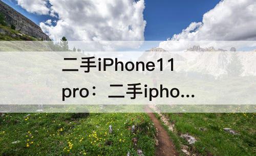 二手iPhone11pro：二手iphone11pro大概多少钱