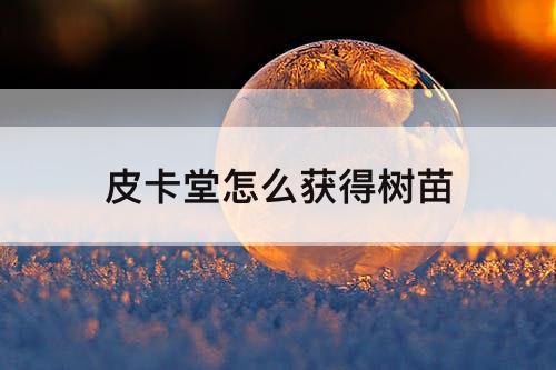 皮卡堂怎么获得树苗