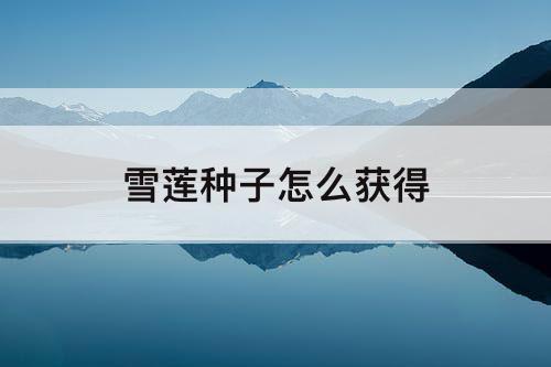 雪莲种子怎么获得