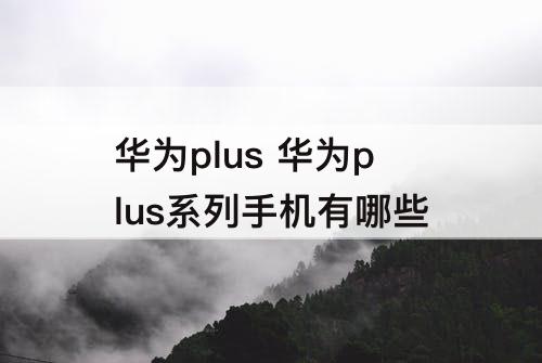 华为plus 华为plus系列手机有哪些