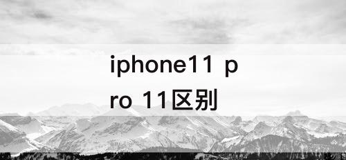 iphone11 pro 11区别