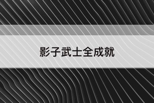 影子武士全成就