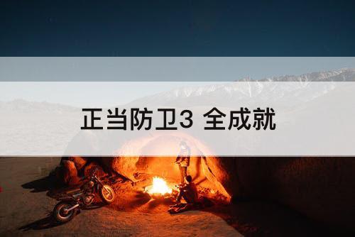 正当防卫3 全成就