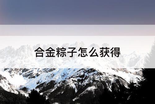 合金粽子怎么获得