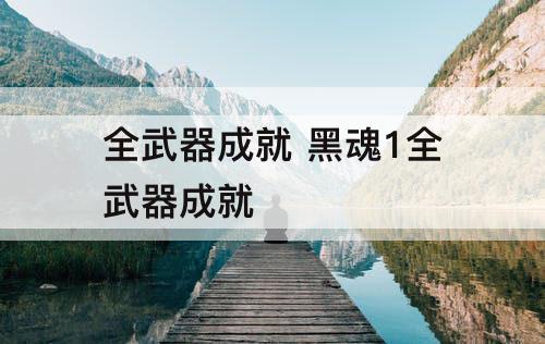 全武器成就 黑魂1全武器成就