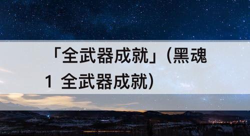 「全武器成就」(黑魂1 全武器成就)