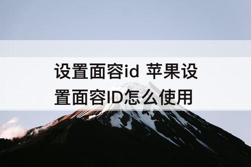 设置面容id 苹果设置面容ID怎么使用