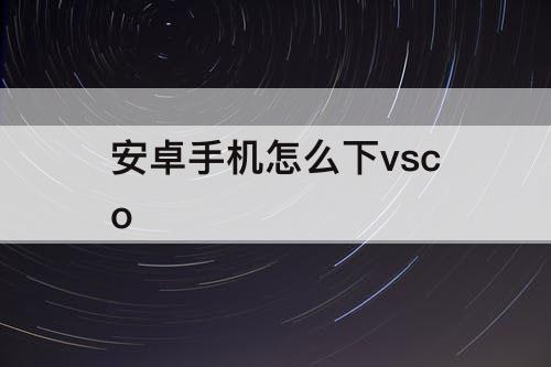 安卓手机怎么下vsco