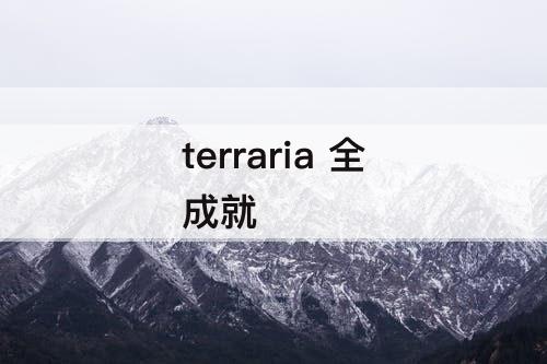 terraria 全成就