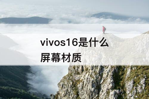 vivos16是什么屏幕材质