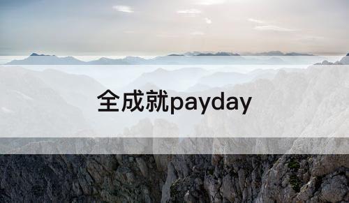 全成就payday