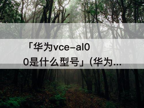 「华为vce-al00是什么型号」(华为vce-al00是什么型号外屏)