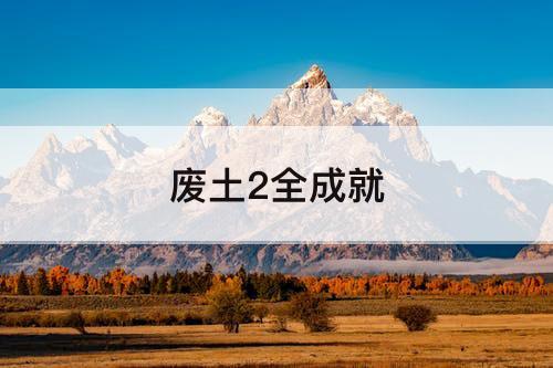 废土2全成就
