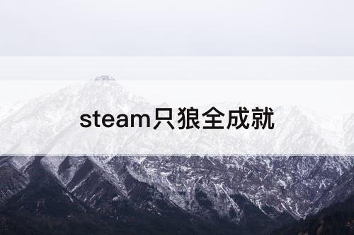 steam只狼全成就