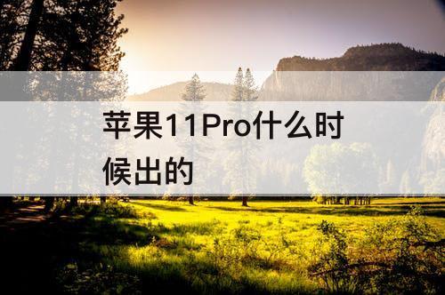 苹果11Pro什么时候出的