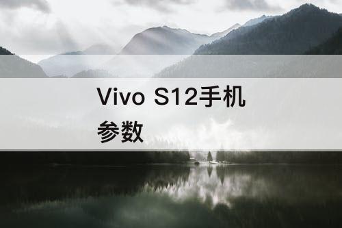 Vivo S12手机参数