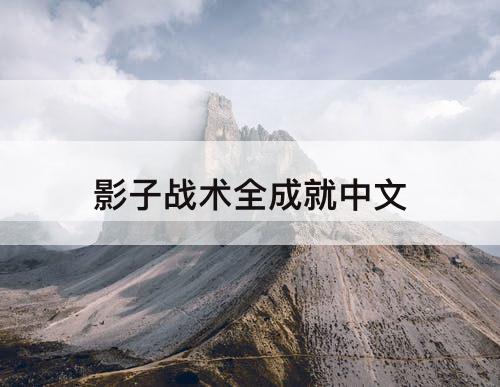 影子战术全成就中文