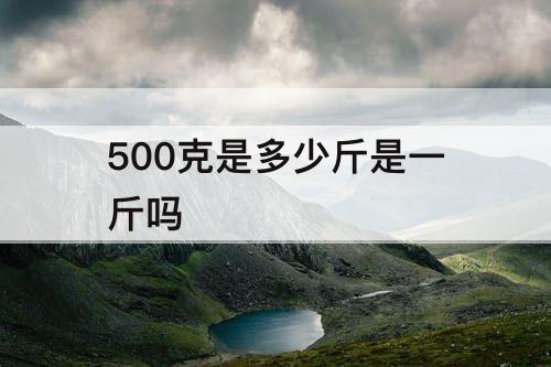 500克是多少斤是一斤吗