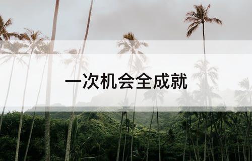 一次机会全成就