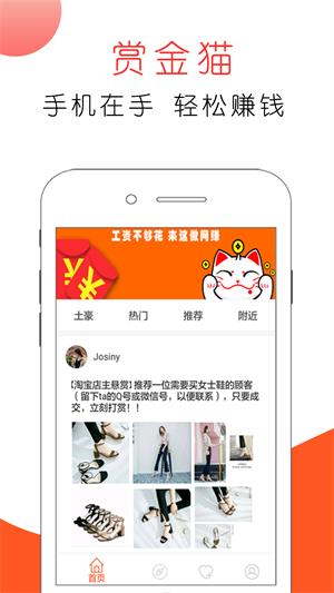 赏金猫app