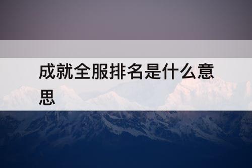 成就全服排名是什么意思
