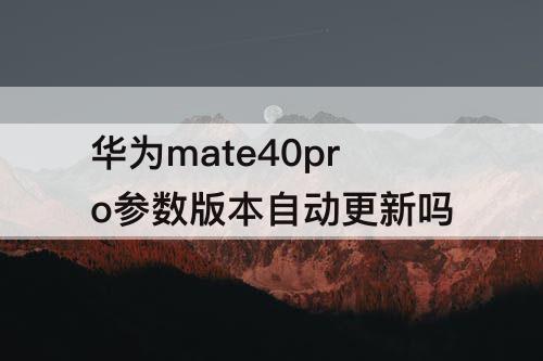 华为mate40pro参数版本自动更新吗