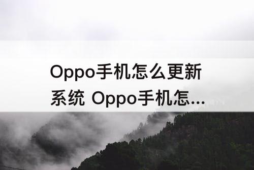 Oppo手机怎么更新系统 Oppo手机怎么更新系统?