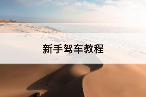 新手驾车教程