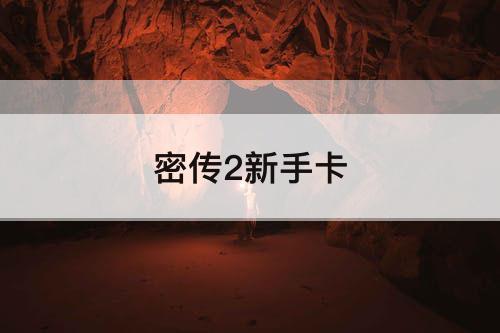 密传2新手卡