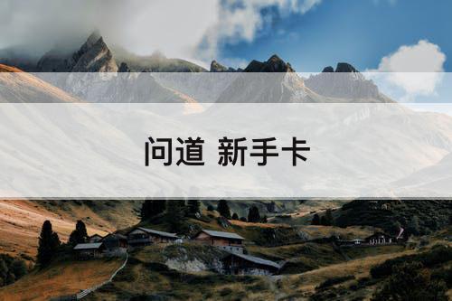 问道 新手卡