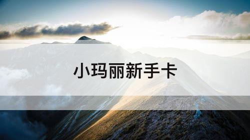 小玛丽新手卡