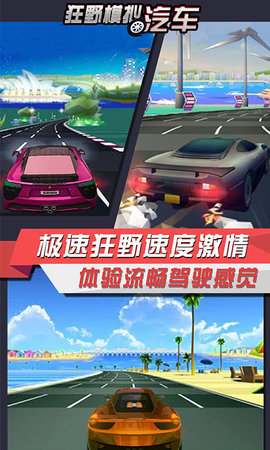 狂野模拟汽车  v3.1图2