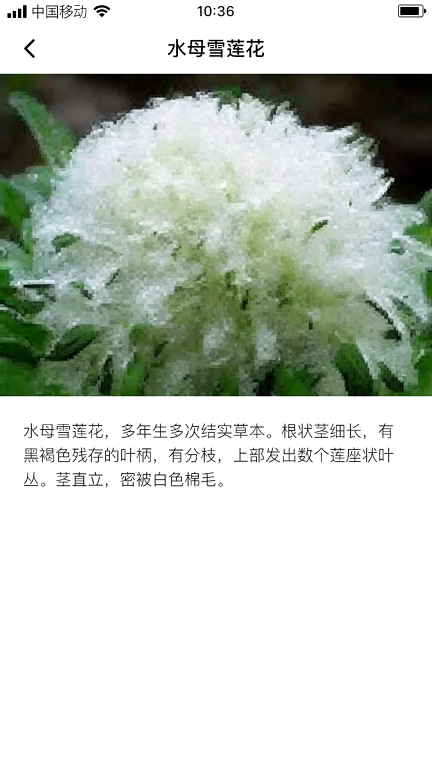 云鼎雪莲app  v1.0.0图2