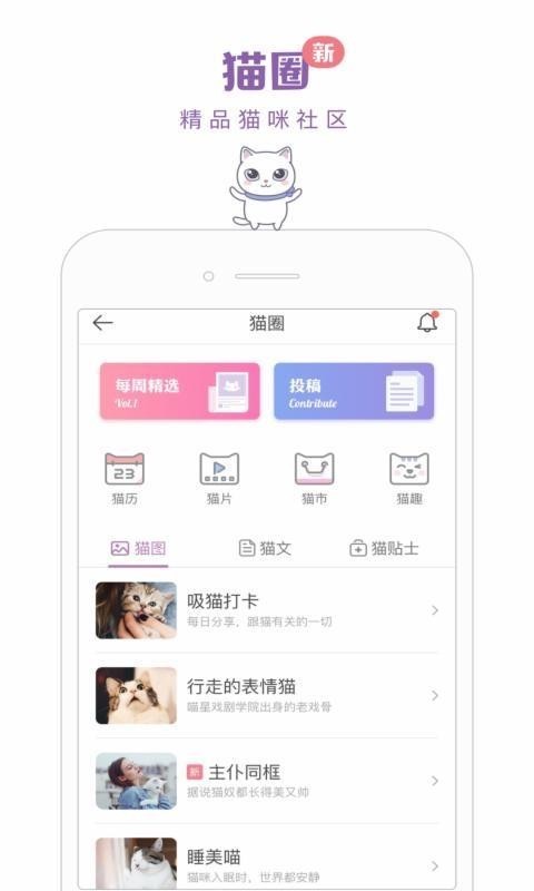 一日猫  v2.4.7图3