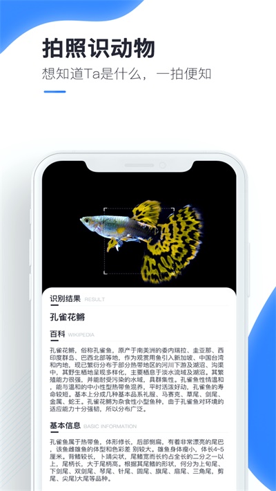 百科扫描王官方版免费下载苹果  v1.0.0图1