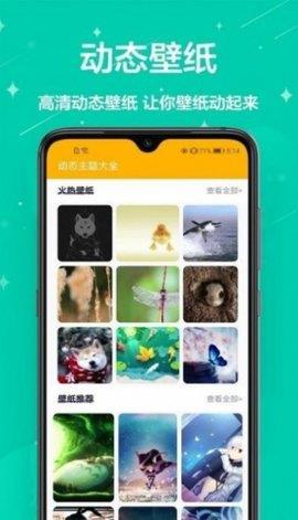 高清壁纸安卓版