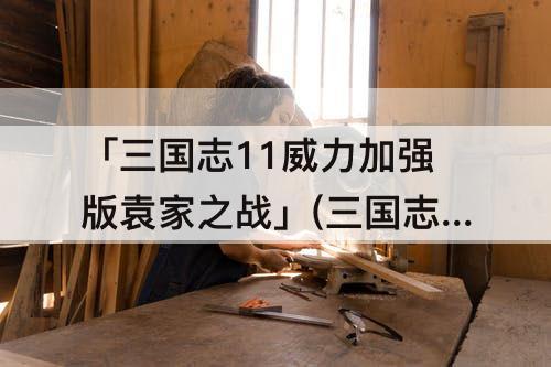 「三国志11威力加强版袁家之战」(三国志11威力加强版袁家之战剧情)