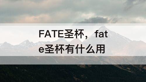 FATE圣杯，fate圣杯有什么用