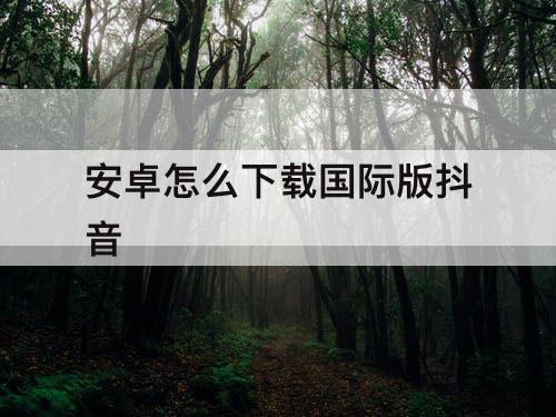 安卓怎么下载国际版抖音