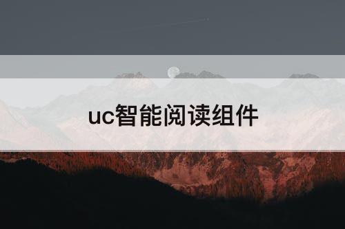 uc智能阅读组件