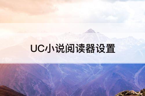 UC小说阅读器设置