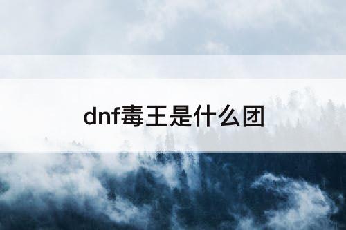 dnf毒王是什么团