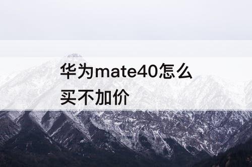 华为mate40怎么买不加价