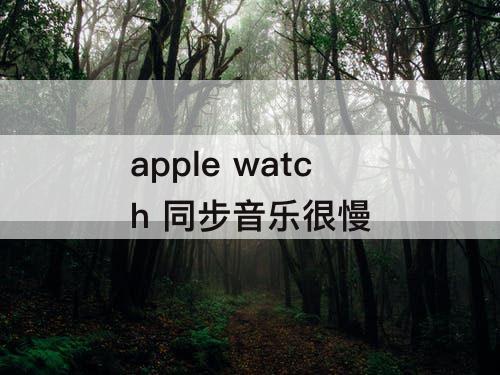 apple watch 同步音乐很慢