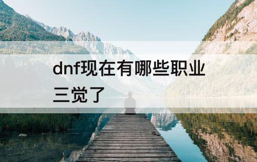 dnf现在有哪些职业三觉了