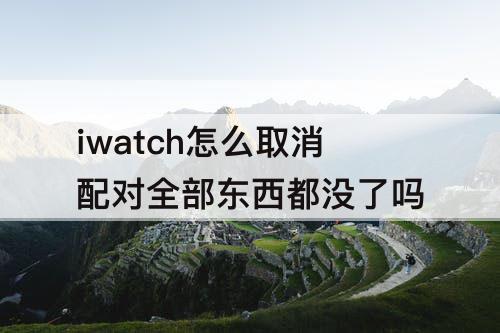 iwatch怎么取消配对全部东西都没了吗